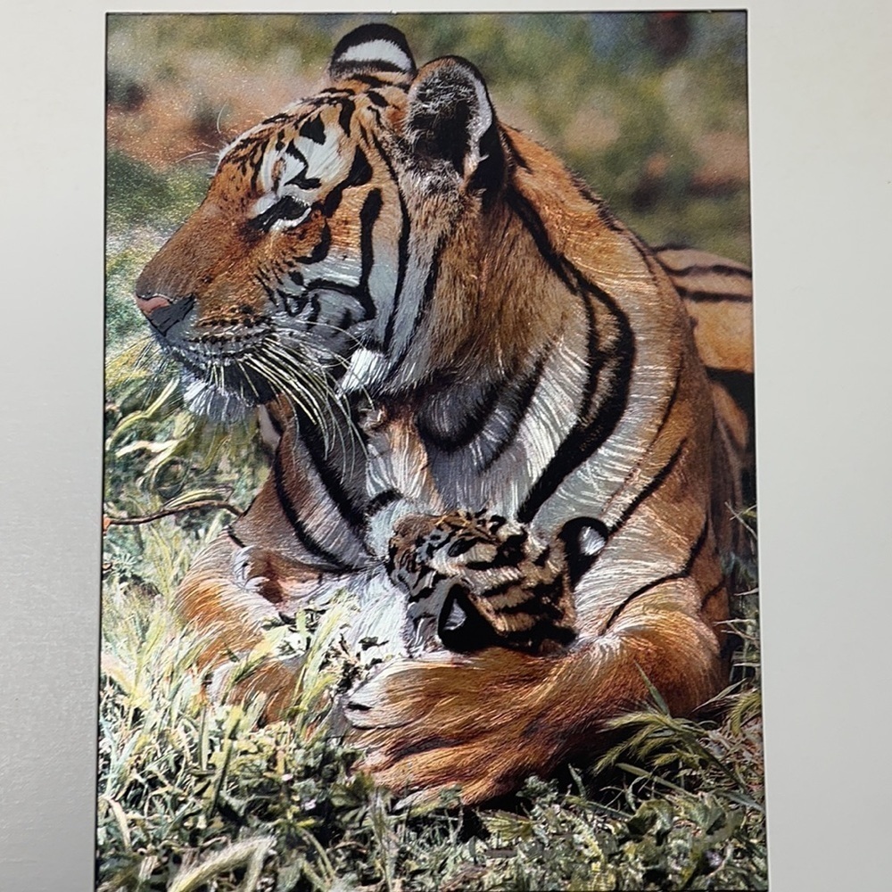 1980โs Print Holographic Foil Of Mother Tiger Baby